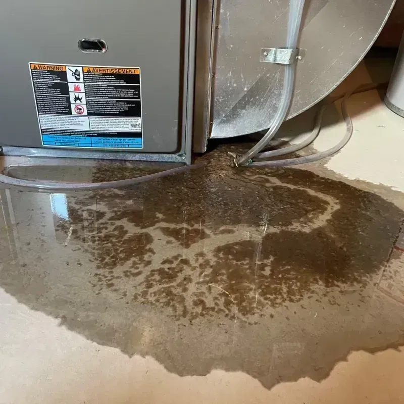 Appliance Leak Cleanup in Carter County, MO